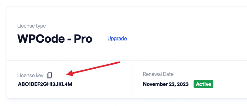 Copy the WPCode license from your account