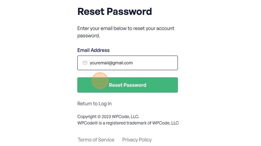 Fill in your email and click on the Reset Password button