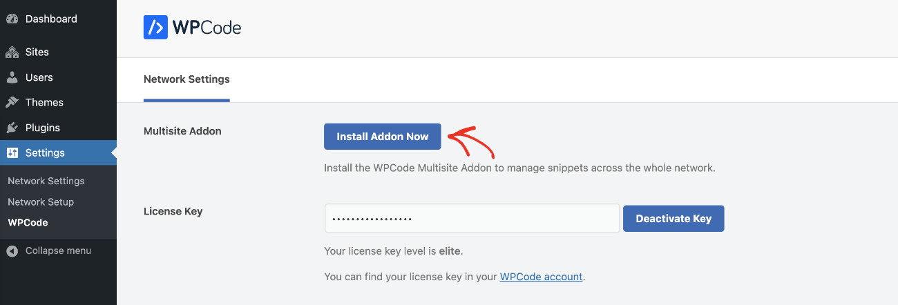 Introducing The New WPCode Multisite Addon: Setting up WPCode Multisite Addon Step 3