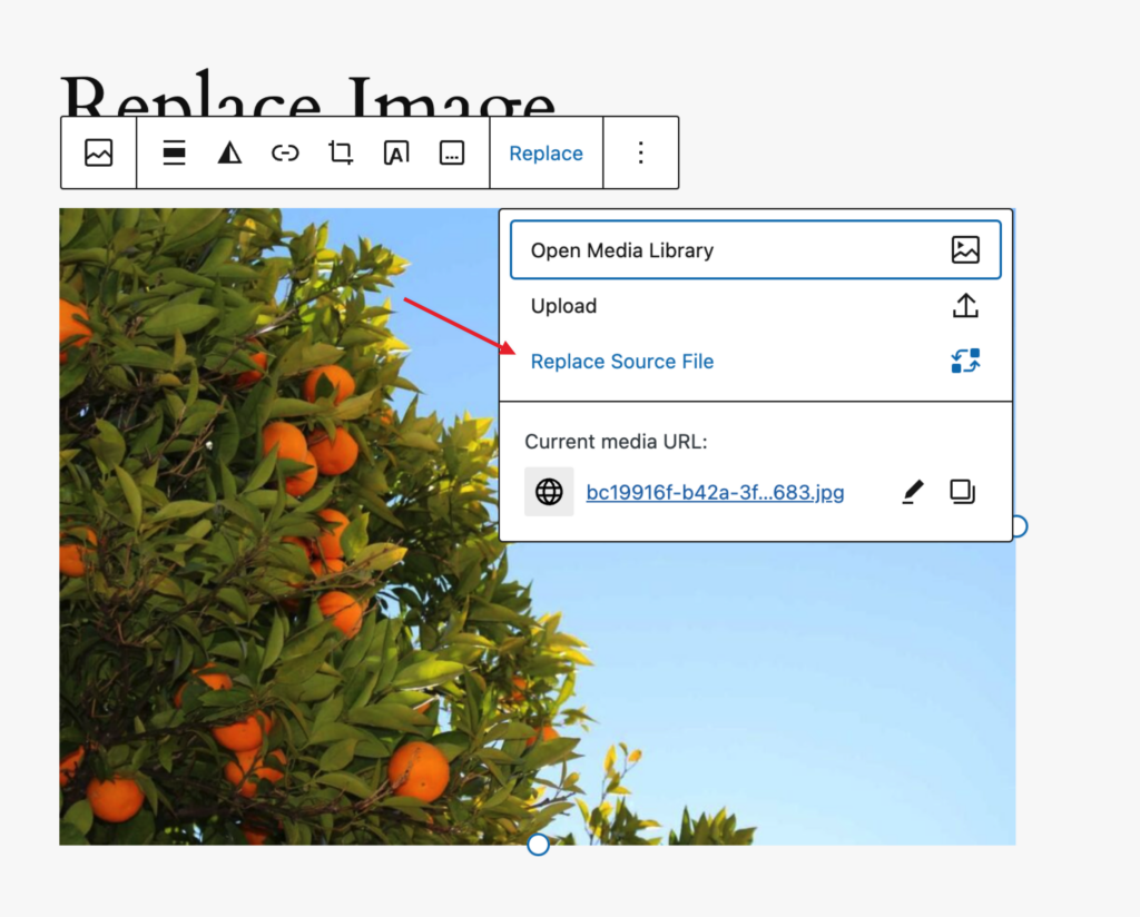 Replace images directly from the Gutenberg Image Block