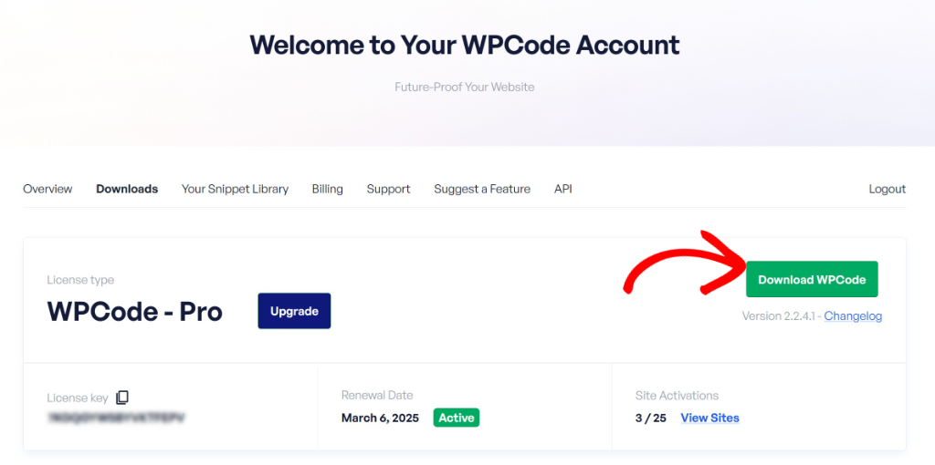 Download WPCode plugin