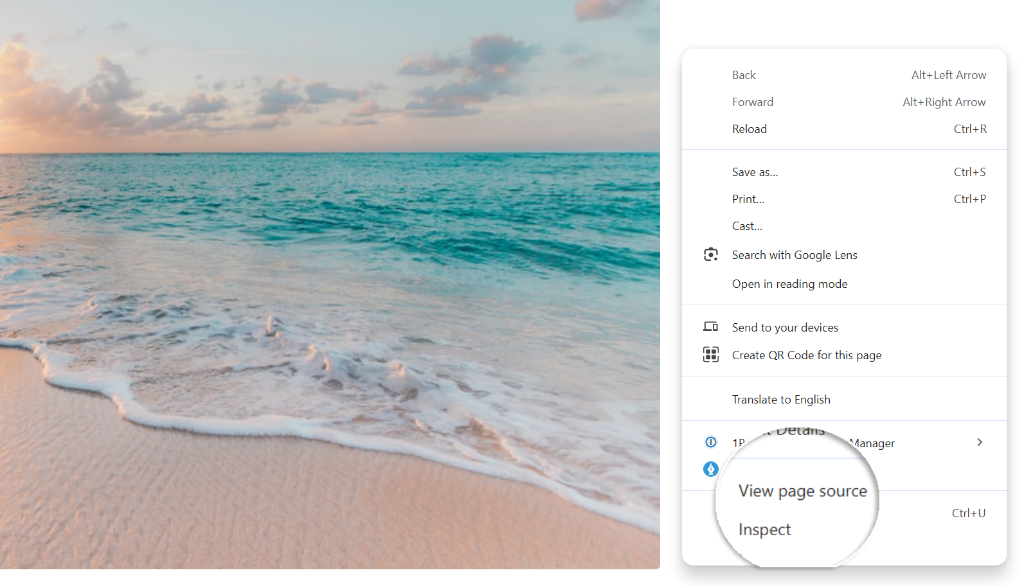 View page source