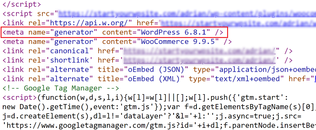 View WordPress version in source code
