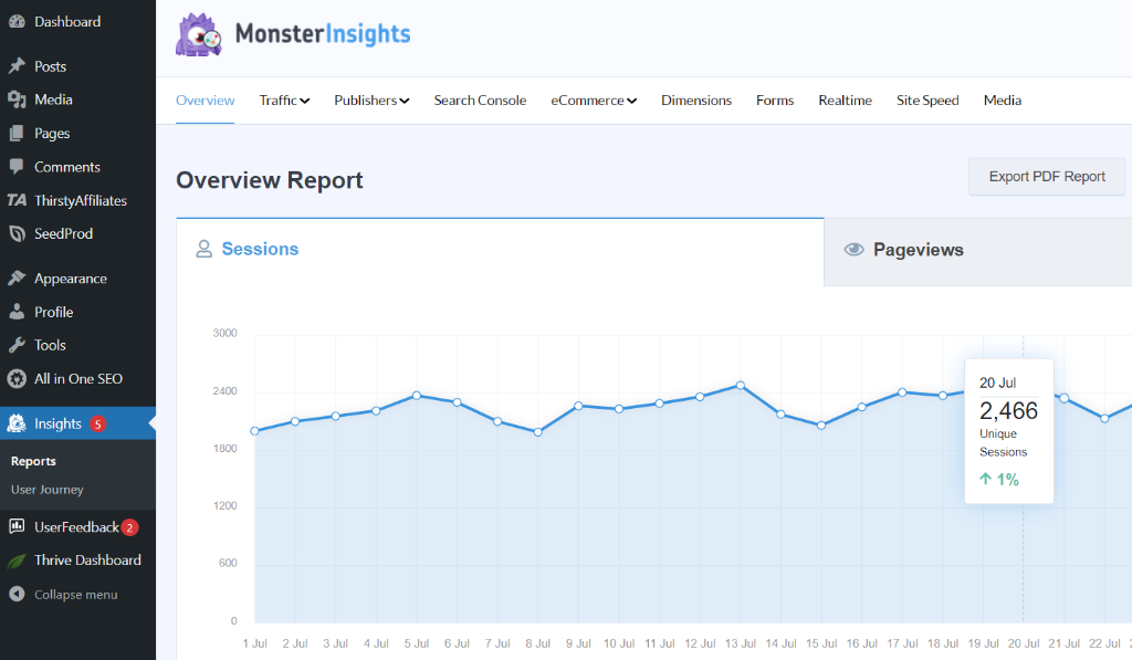 View MonsterInsights reports
