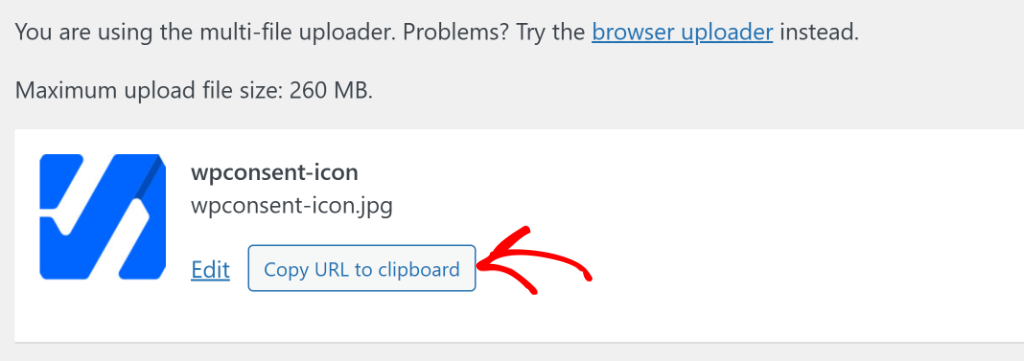 Copy the URL of image file