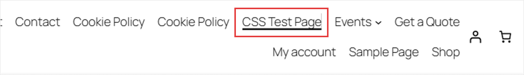 A site menu with a dark line under the CSS Test Page item, the page being viewed