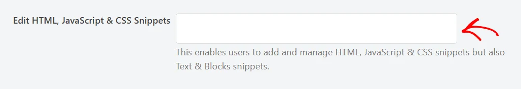 An arrow pointing at the role field beside the Edit HTML, JavaScript & CSS Snippets permission