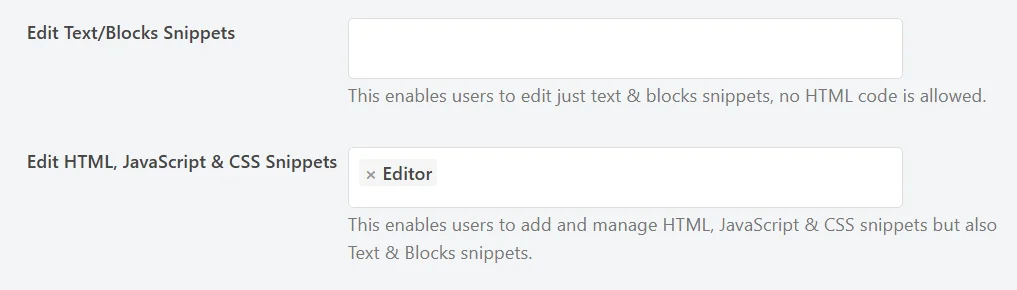 The Edit HTML, JavaScript & CSS Snippets permission with Editor added as a tag, below the still-empty Edit Text/Blocks Snippets row