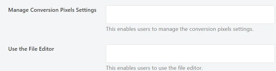 The Manage Conversion Pixels Settings and Use the File Editor permission rows, both with empty role fields