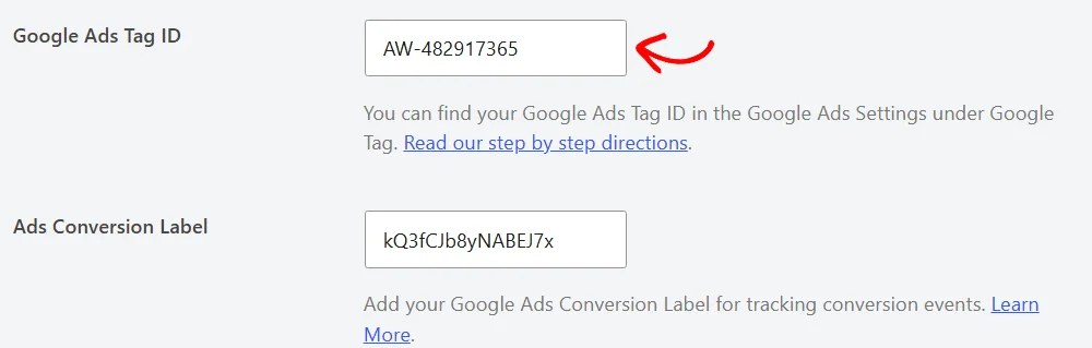 An arrow pointing at the Google Ads Tag ID field, filled in with an ID starting with AW-, above a filled-in Ads Conversion Label field