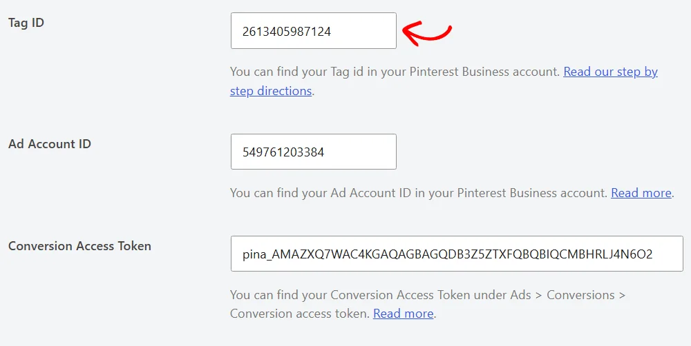 An arrow pointing at the Pinterest Tag ID field, with the Ad Account ID and Conversion Access Token fields filled in below it