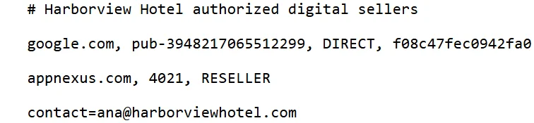 The generated ads.txt file served as plain text at the root of the site